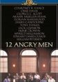 12 oameni furioşi