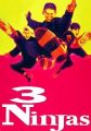 Cei trei ninja