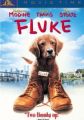 Fluke - o minune de căţel