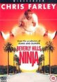 Beverly Hills Ninja