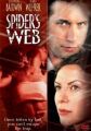 Spider's Web