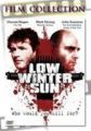Low Winter Sun