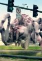 Arachnoquake