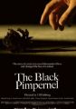 The Black Pimpernel
