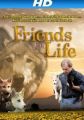 Friends for Life