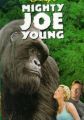 Gorila Joe