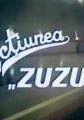 Actiunea Zuzuc