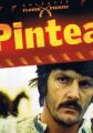 Pintea