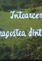 Întoarcere la dragostea dintâi