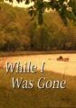 While I Was Gone