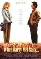 Când Harry a cunoscut-o pe Sally