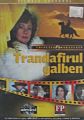 Trandafirul galben