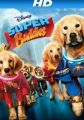 Super Buddies