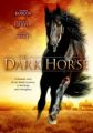 The Dark Horse /II