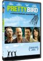 Pretty Bird