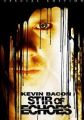 Stir of Echoes