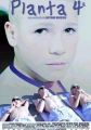 Planta 4&ordf;