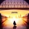 Imagini Paddington