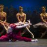 Imagini La Bayadere