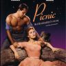 Imagini Picnic