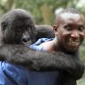 Imagini Virunga