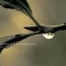 Imagini Bad Weather