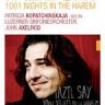Imagini Recital Fazil Say