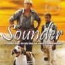Imagini Sounder