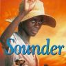 Imagini Sounder
