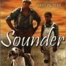 Imagini Sounder