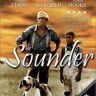 Imagini Sounder