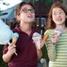 Imagini Judy Moody and the Not Bummer Summer