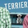 Imagini Terriers