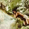 Imagini The Jungle Book