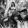 Imagini The Jungle Book