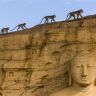 Imagini Monkey Kingdom
