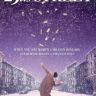 Imagini Strada 29