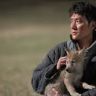 Imagini Wolf Totem