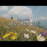 Imagini Lumea lui Geo Saizescu