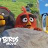 Imagini Angry Birds - Filmul