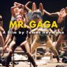 Imagini Mr. Gaga