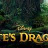 Imagini Pete şi dragonul