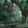 Imagini Pete şi dragonul