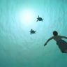 Imagini La tortue rouge