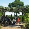 Imagini Les beaux jours d'Aranjuez
