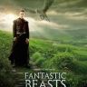 Imagini Fantastic Beasts and Where to Find Them