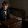 Imagini Fantastic Beasts and Where to Find Them
