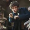 Imagini Fantastic Beasts and Where to Find Them