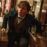 Imagini Fantastic Beasts and Where to Find Them