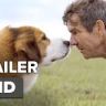 Imagini A Dog's Purpose